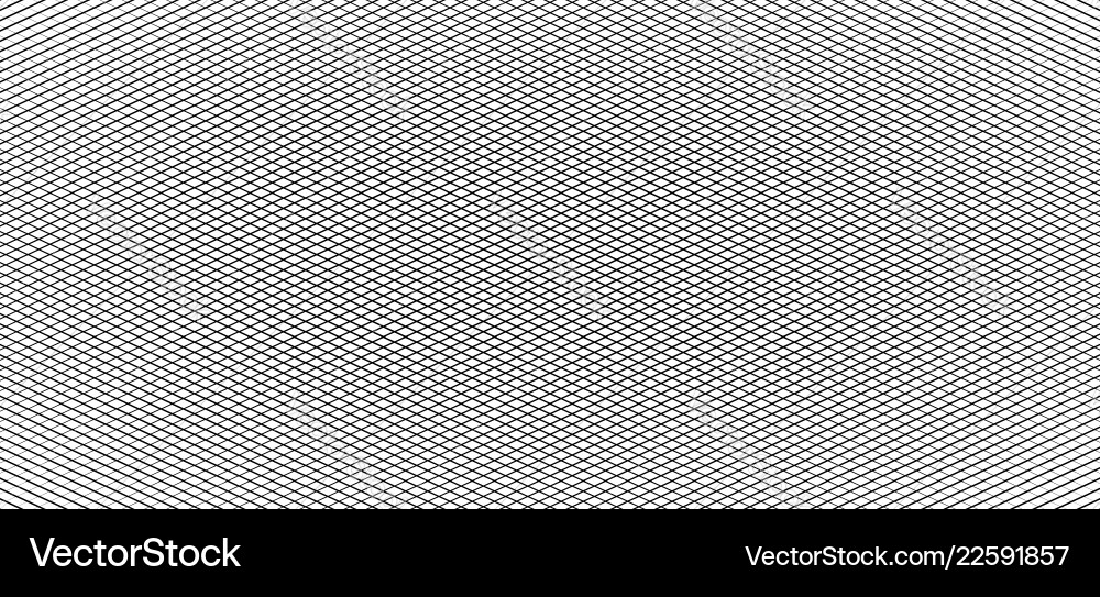 Irregular grid mesh pattern abstract monochrome Irregular grid mesh pattern abstract monochrome vector image