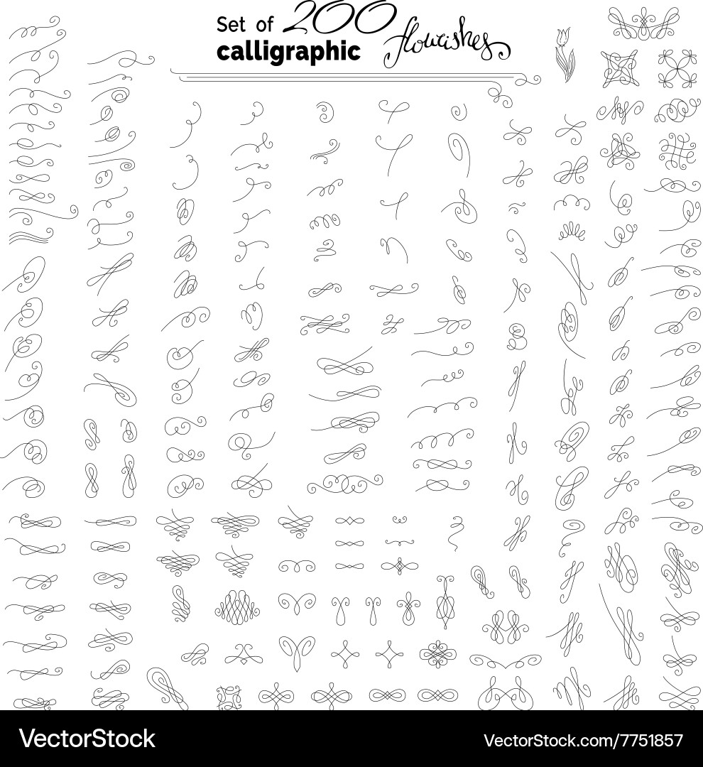 Set of more than 200 linear calligraphic Vector Image