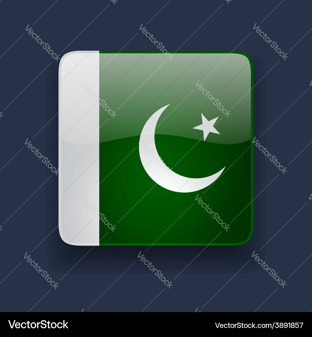 Square icon with flag of pakistan vector image