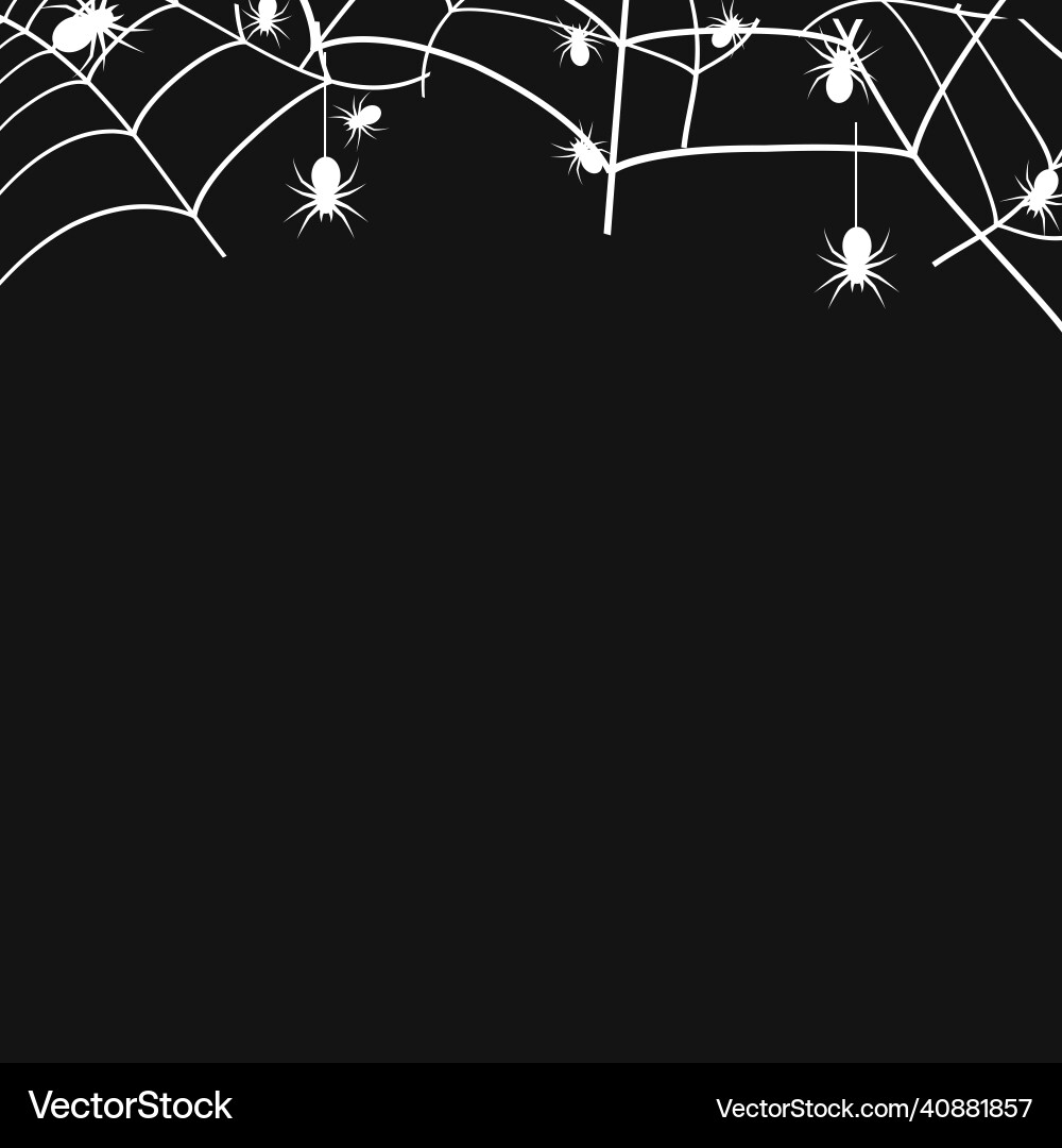 White cobweb with spiders on black background White cobweb with spiders on black background vector image