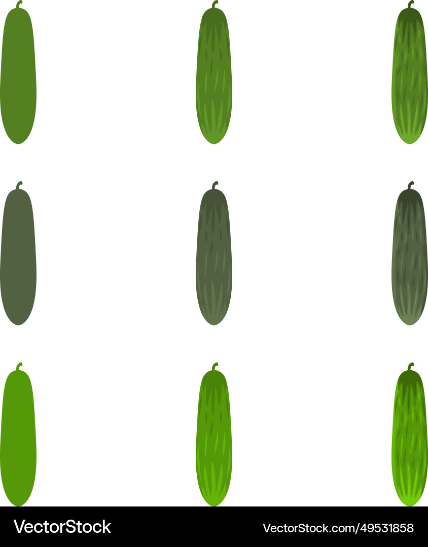 Cucumber Cucumber vector image