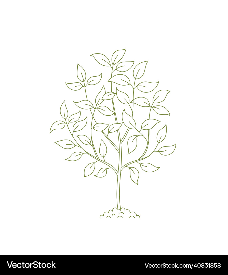 Outline small tree open paths editable stroke vector image
