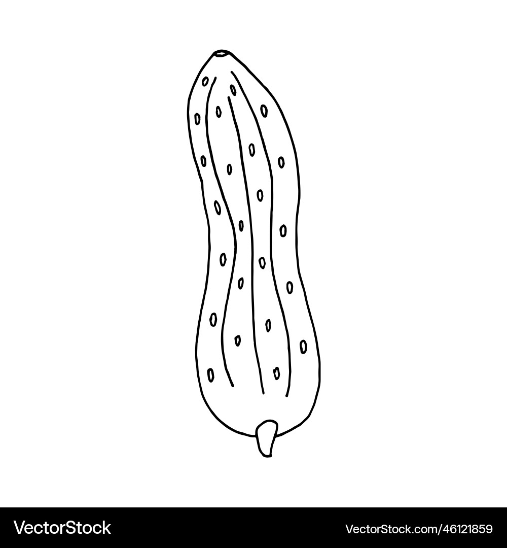 Cucumber in doodle style Cucumber in doodle style vector image