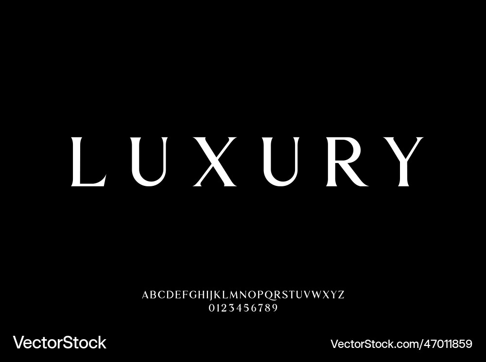 Luxury Serif Font - Elegant Display vector image