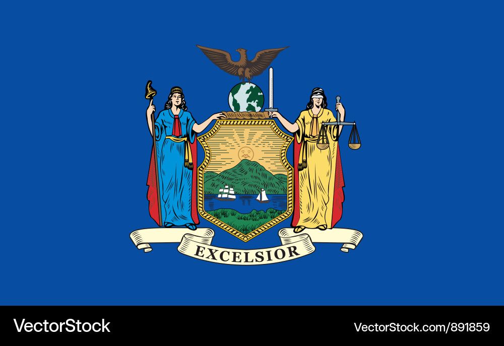 New York State Flag vector image