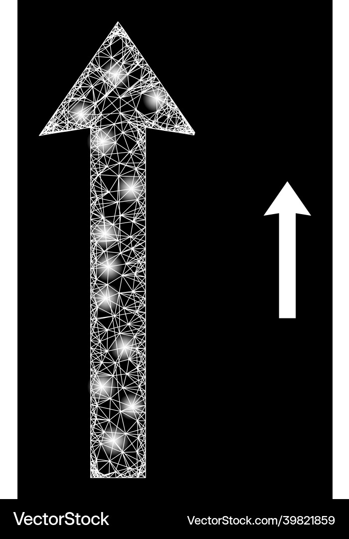 Polygonal network mesh send up with light spots Polygonal network mesh send up with light spots vector image