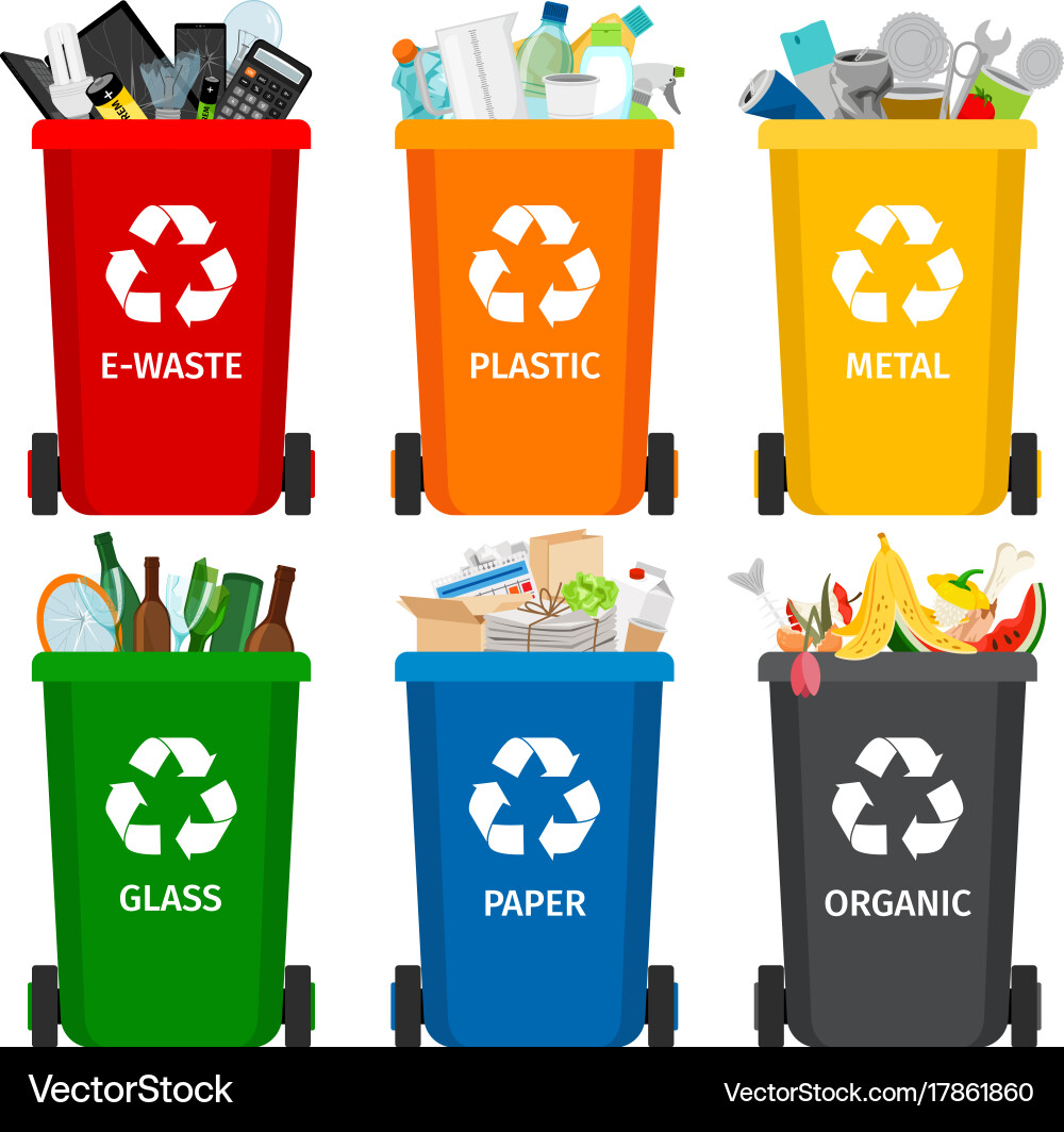 Garbage Sorting & Recycling vector image