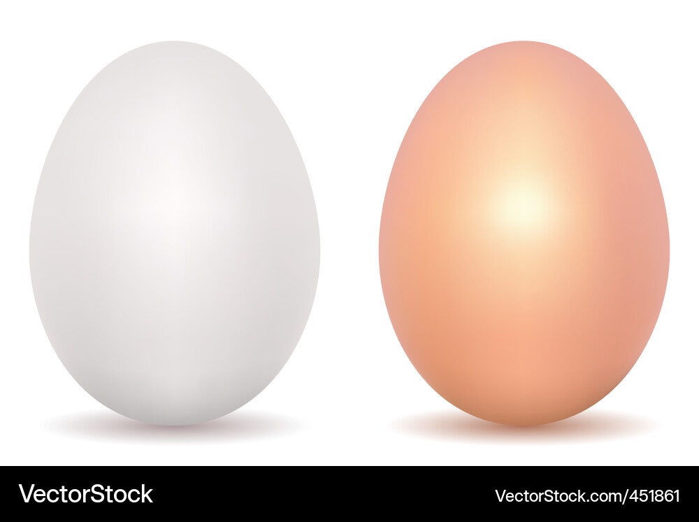 Egg Vector Image