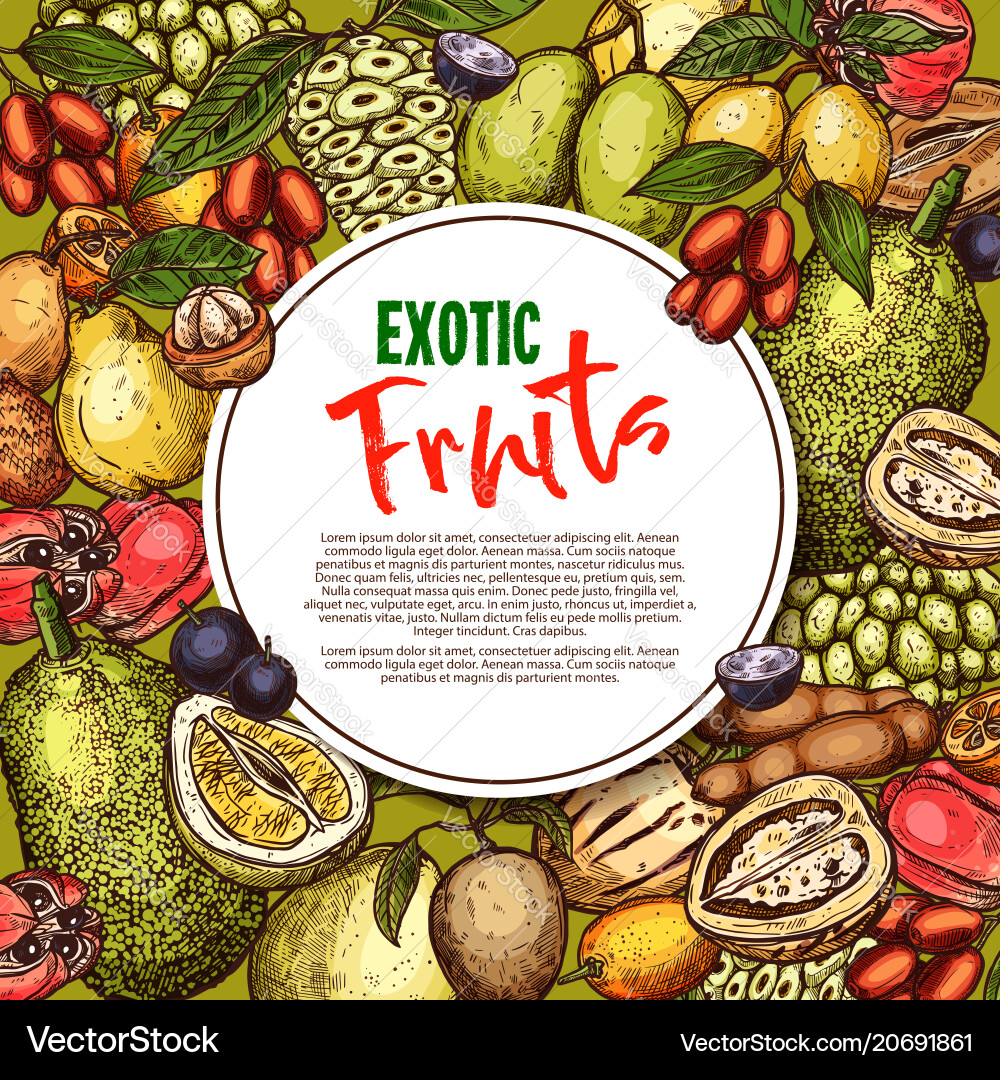 Fruit sketch poster exotic fruits vector image