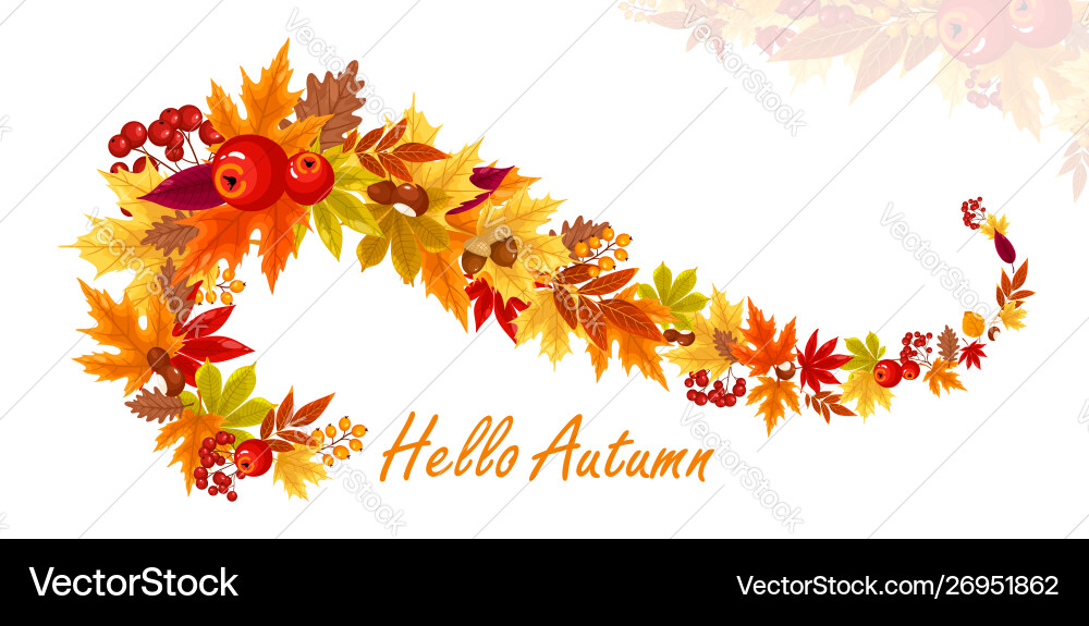 Colorful autumn fall leaves Colorful autumn fall leaves vector image