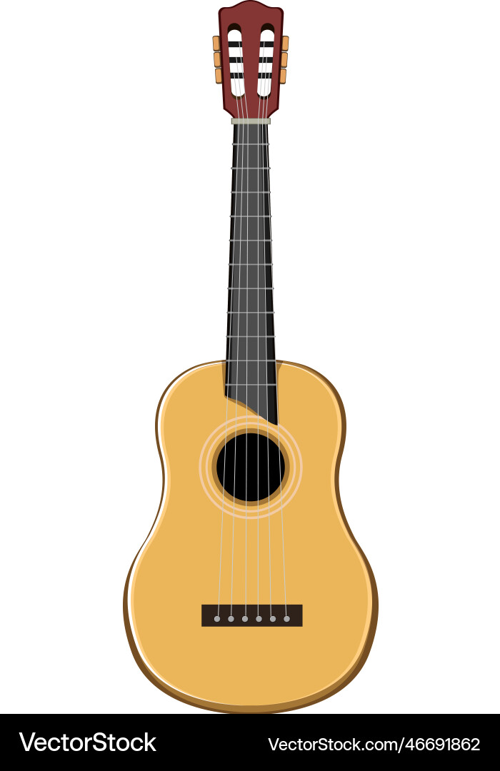 Jazz acoustic guitar cartoon vector image