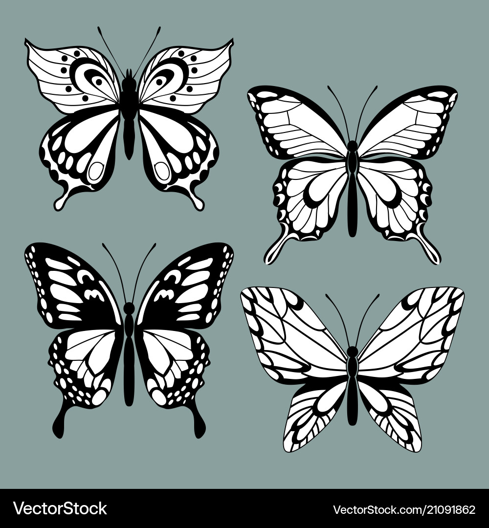 Set decorative butterflies vector image