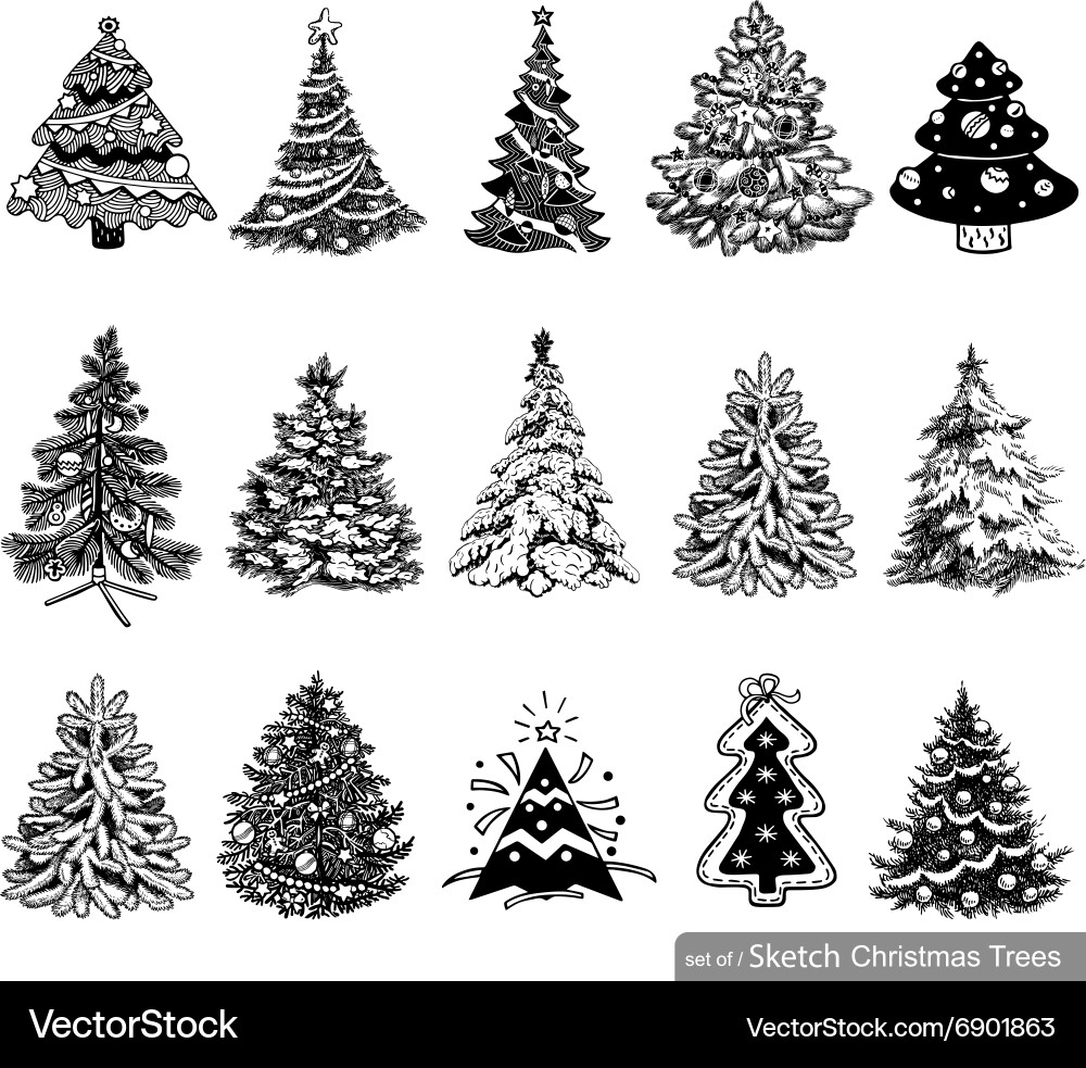 Christmas Tree Sketches - Variety of Styles vector image