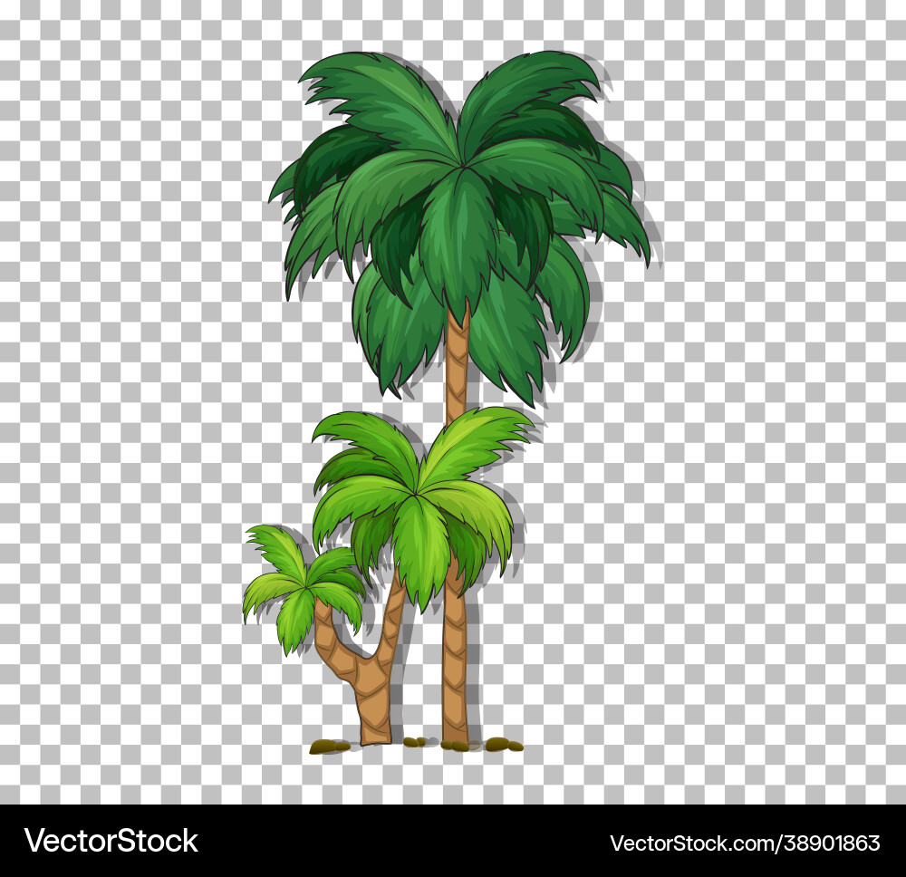 Palm tree on transparent background Palm tree on transparent background vector image