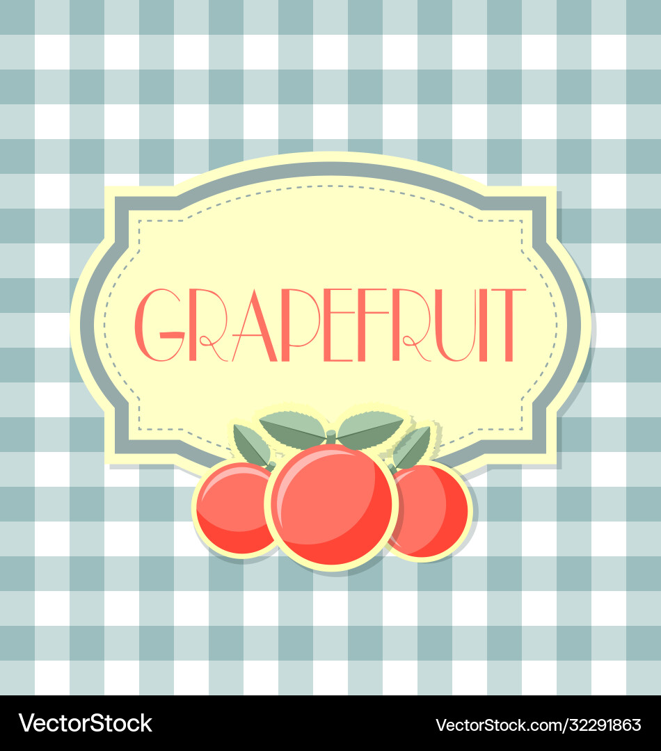 Retro Grapefruit Label on Squared Background vector image