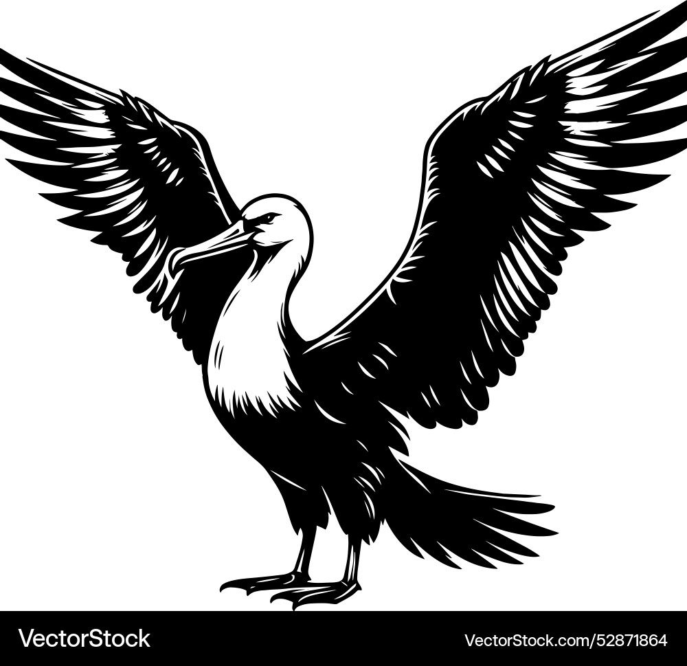 Beautiful albatross bird silhouette isolated Vector Image