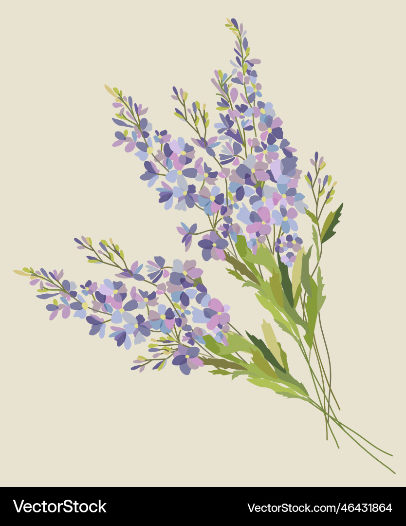 Isolated branch of delphinium vector image