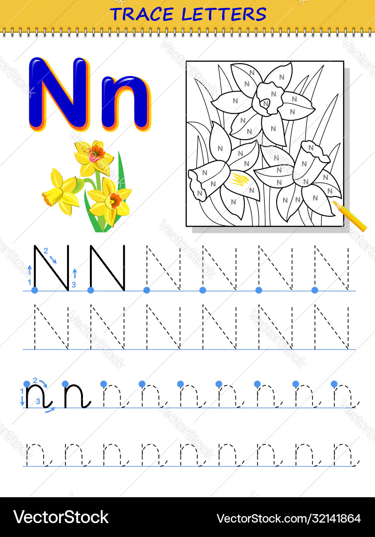 Tracing letter n for study alphabet printable Tracing letter n for study alphabet printable vector image
