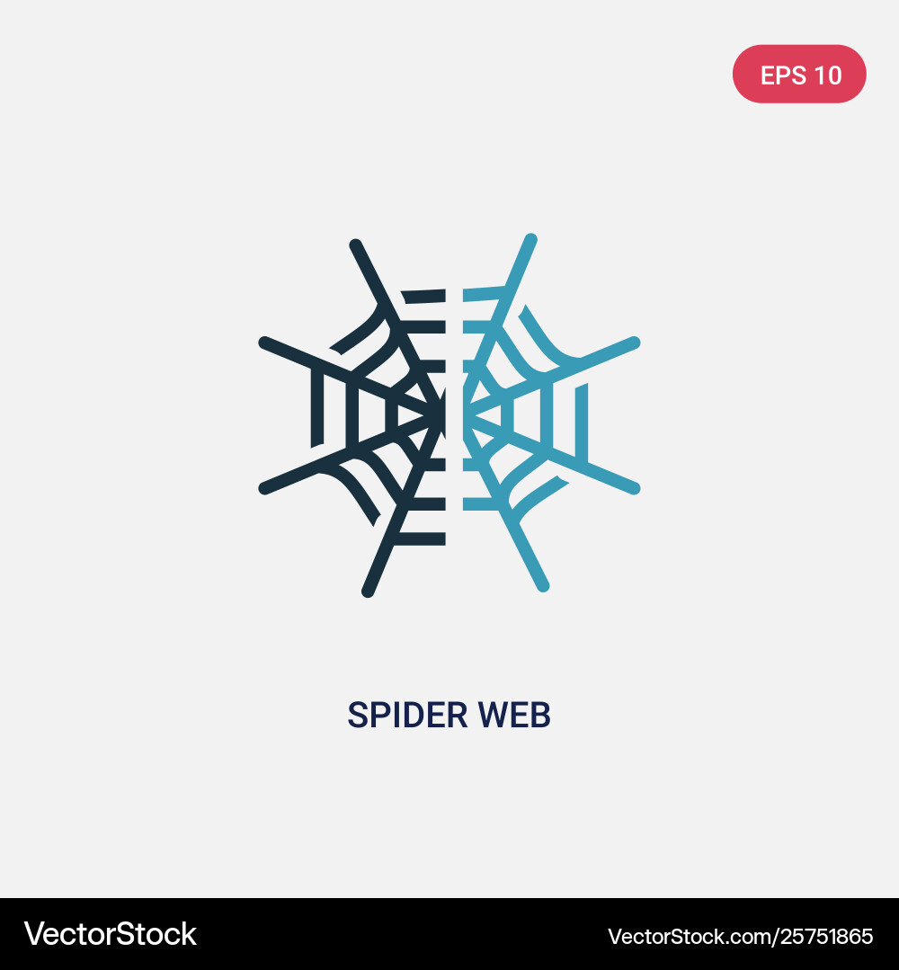 Two color spider web icon from navigation vector image