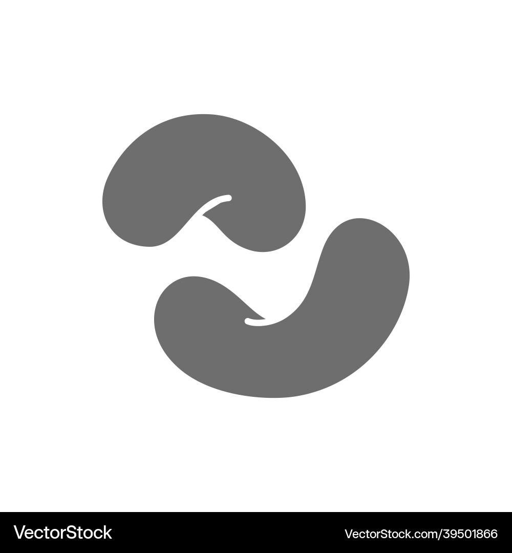 Cashew nuts grey icon isolated on white Cashew nuts grey icon isolated on white vector image