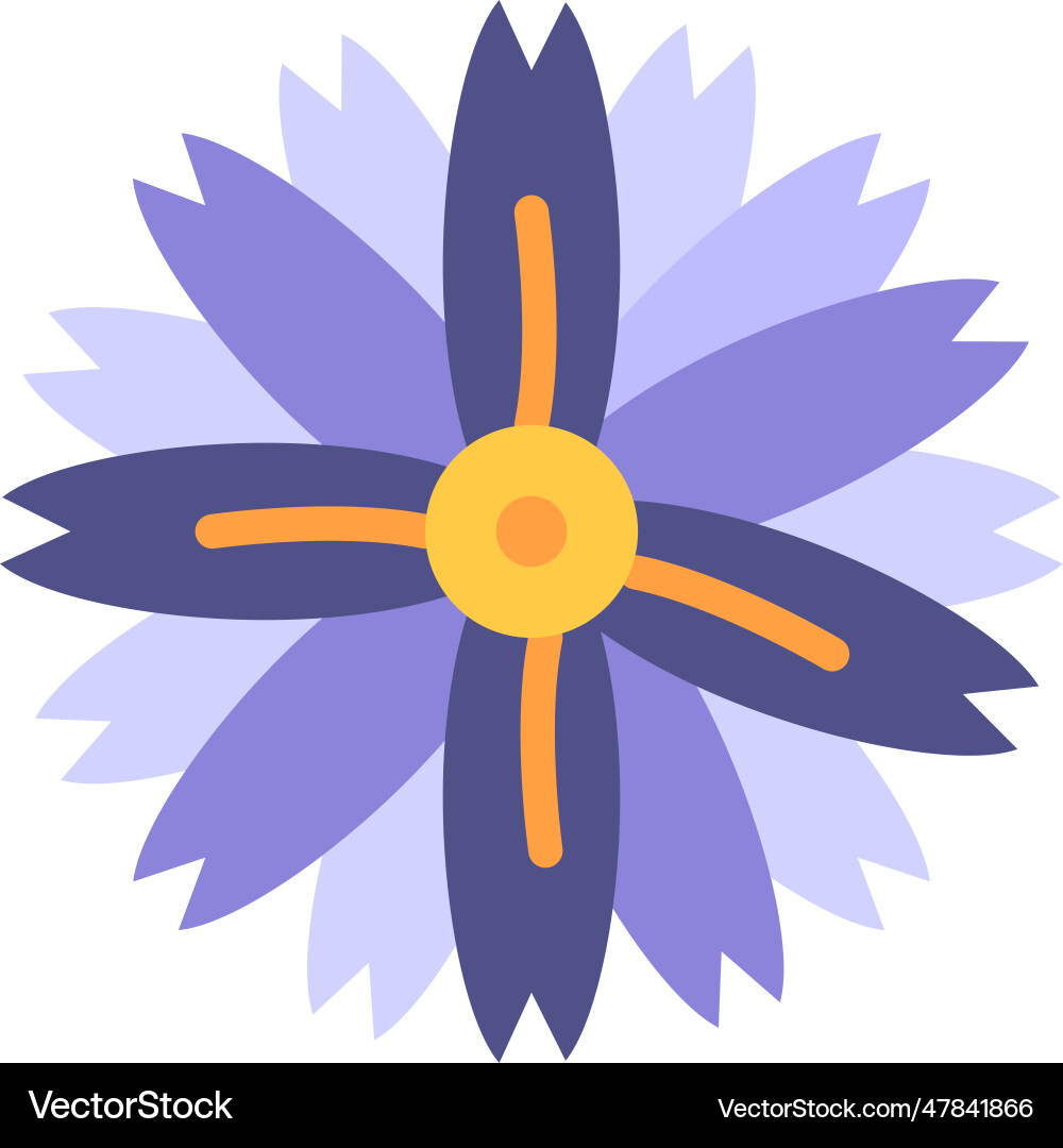 Chamomile icon image Vector Image