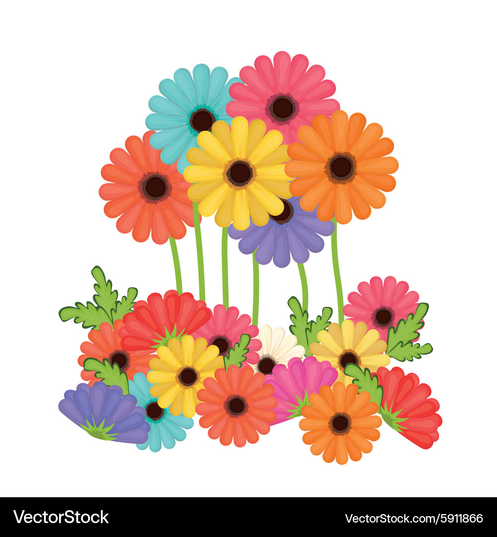 Colors flower over isolated background Vector Image