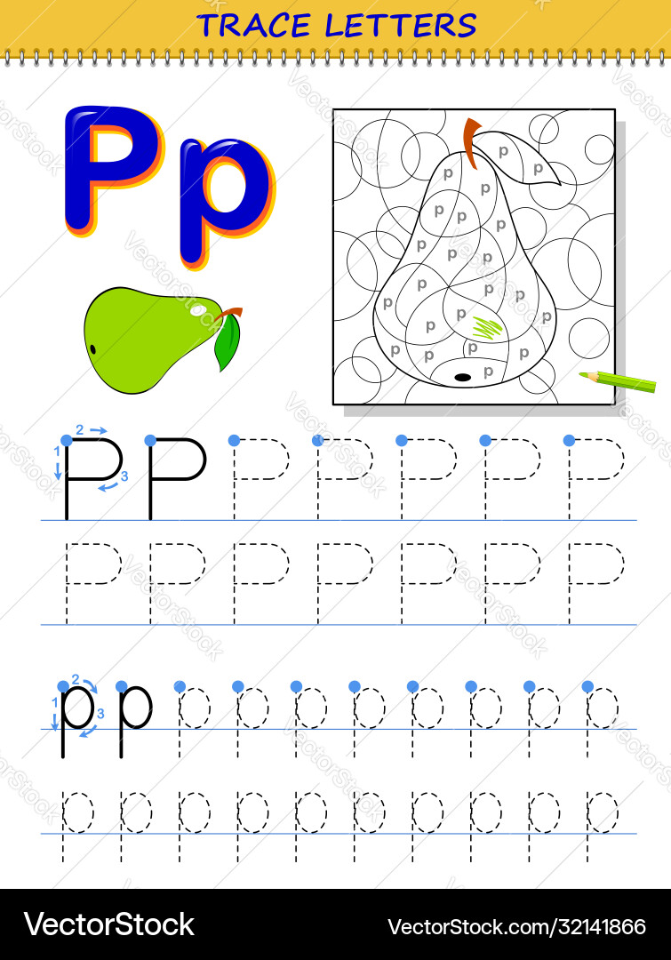 Tracing letter p for study alphabet printable Tracing letter p for study alphabet printable vector image