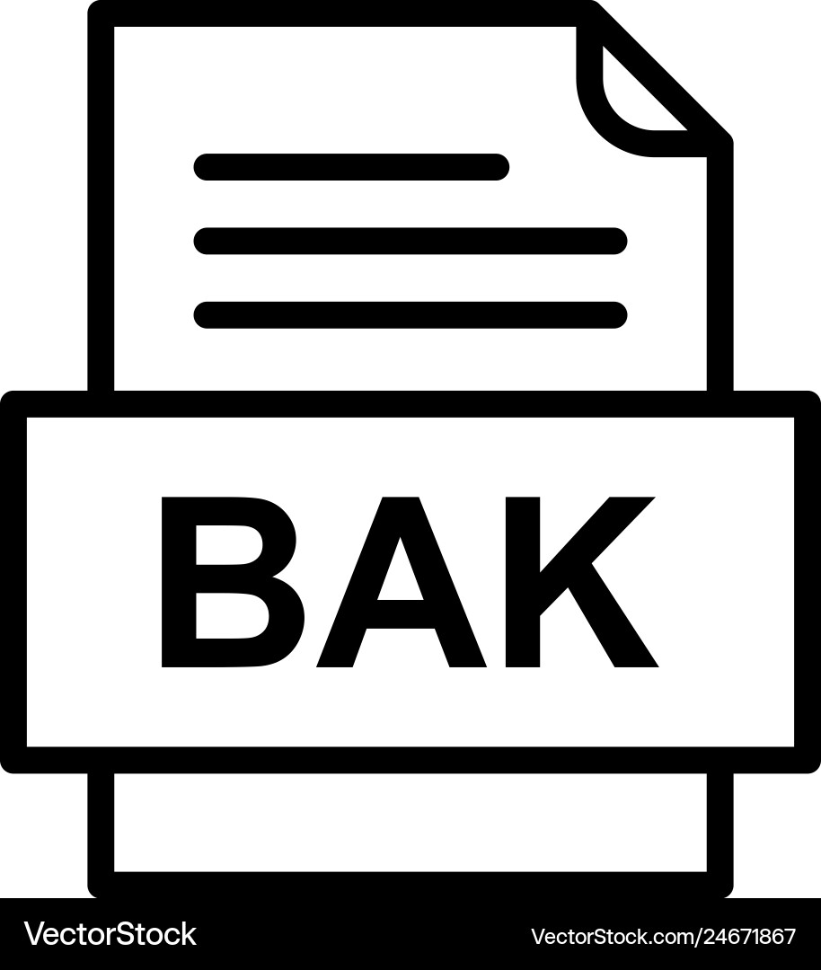 Bak file document icon Vector Image