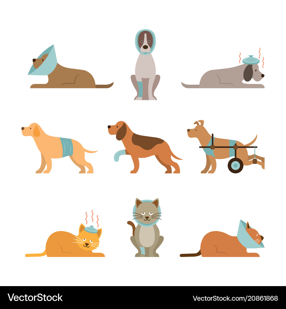 Cats and dogs get sick Royalty Free Vector Image