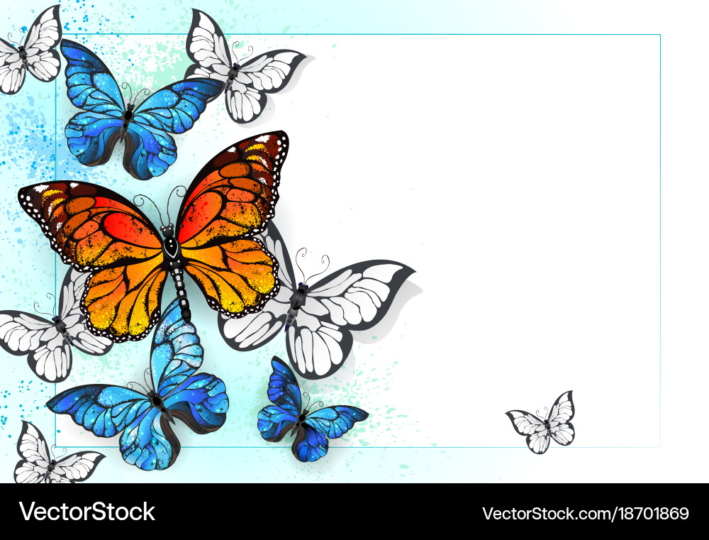 Background with monarchs and morpho Vector Image