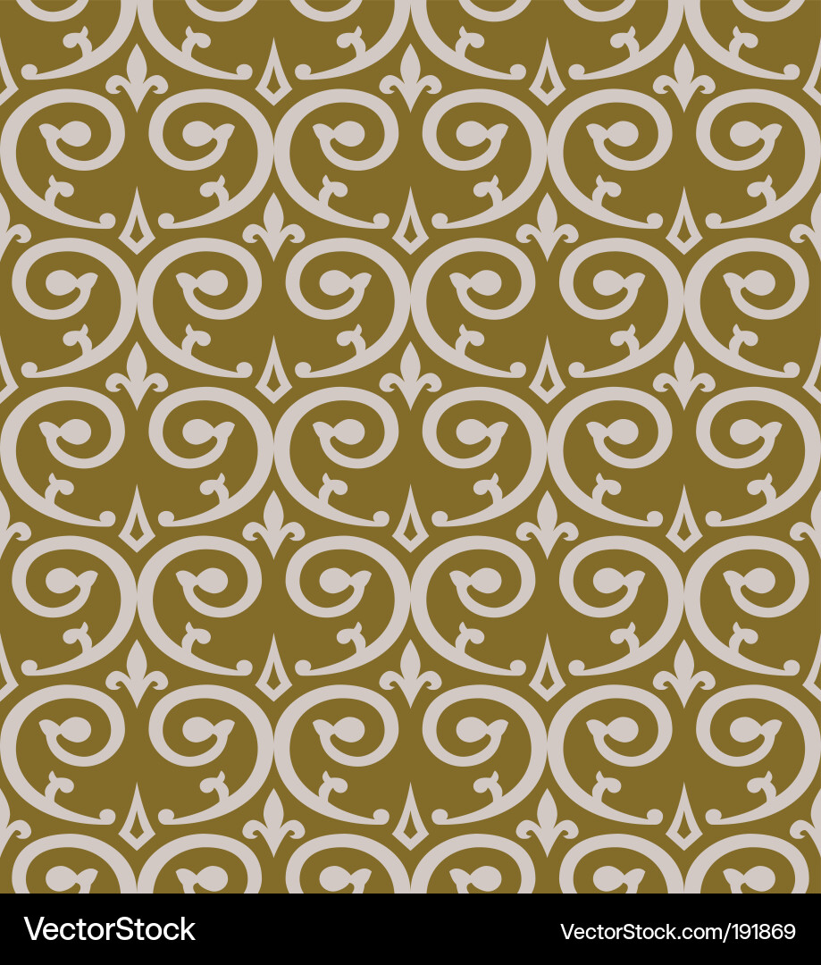 Intricate Swirl Pattern vector image