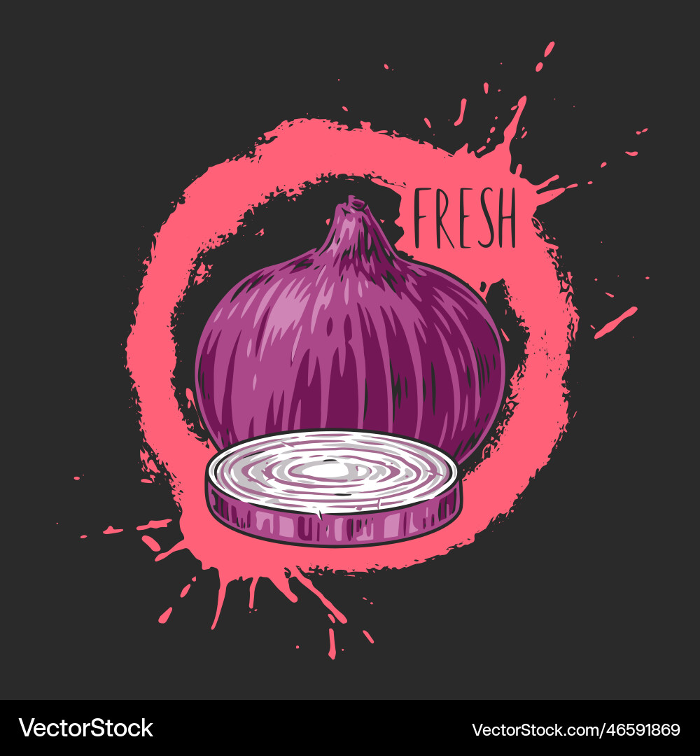 Red onion colorful detailed poster vector image