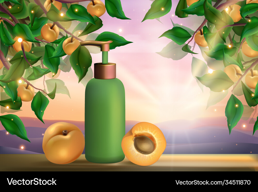 Aprikosenkosmetik Körper Gel Hautpflege Produkt Aprikosenkosmetik Körper Gel Hautpflege Produkt vektorbild