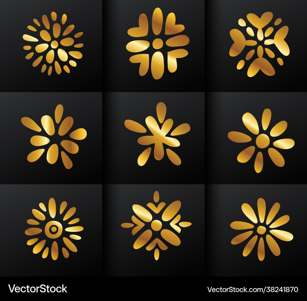 Golden splash sign Vector Image
