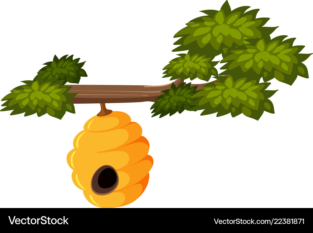 Beehive on tree branch vector image
