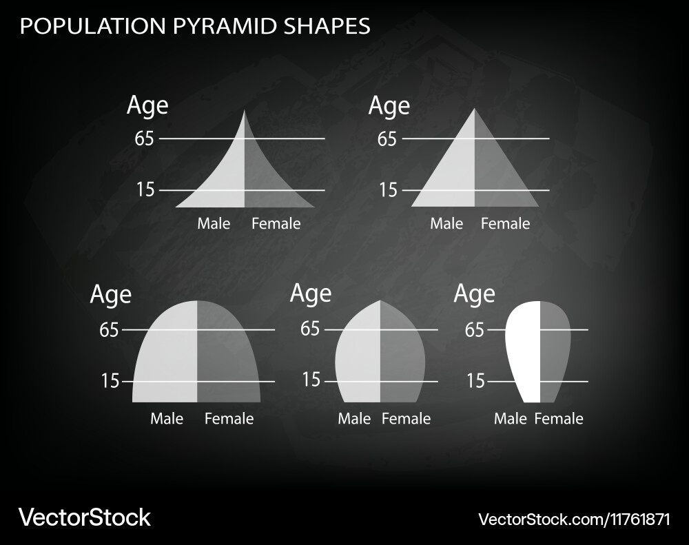 Different types of population pyramids Vector Image
