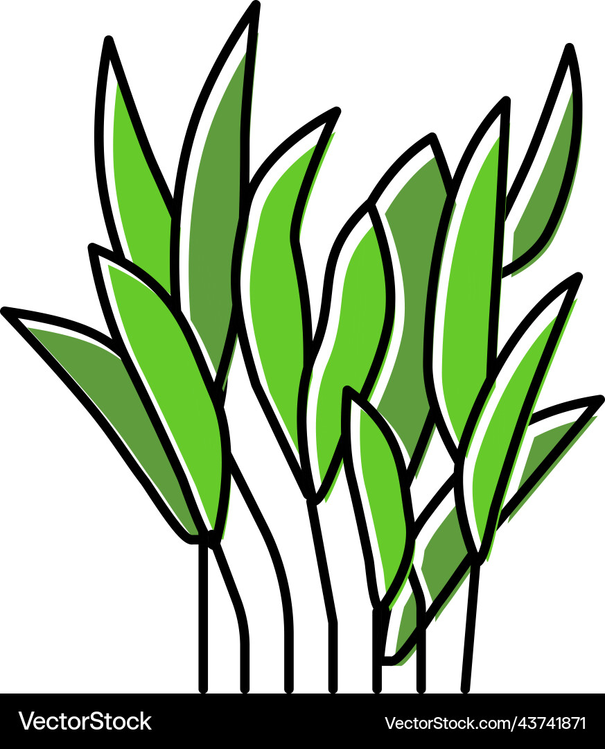 Java fern color icon Vector Image