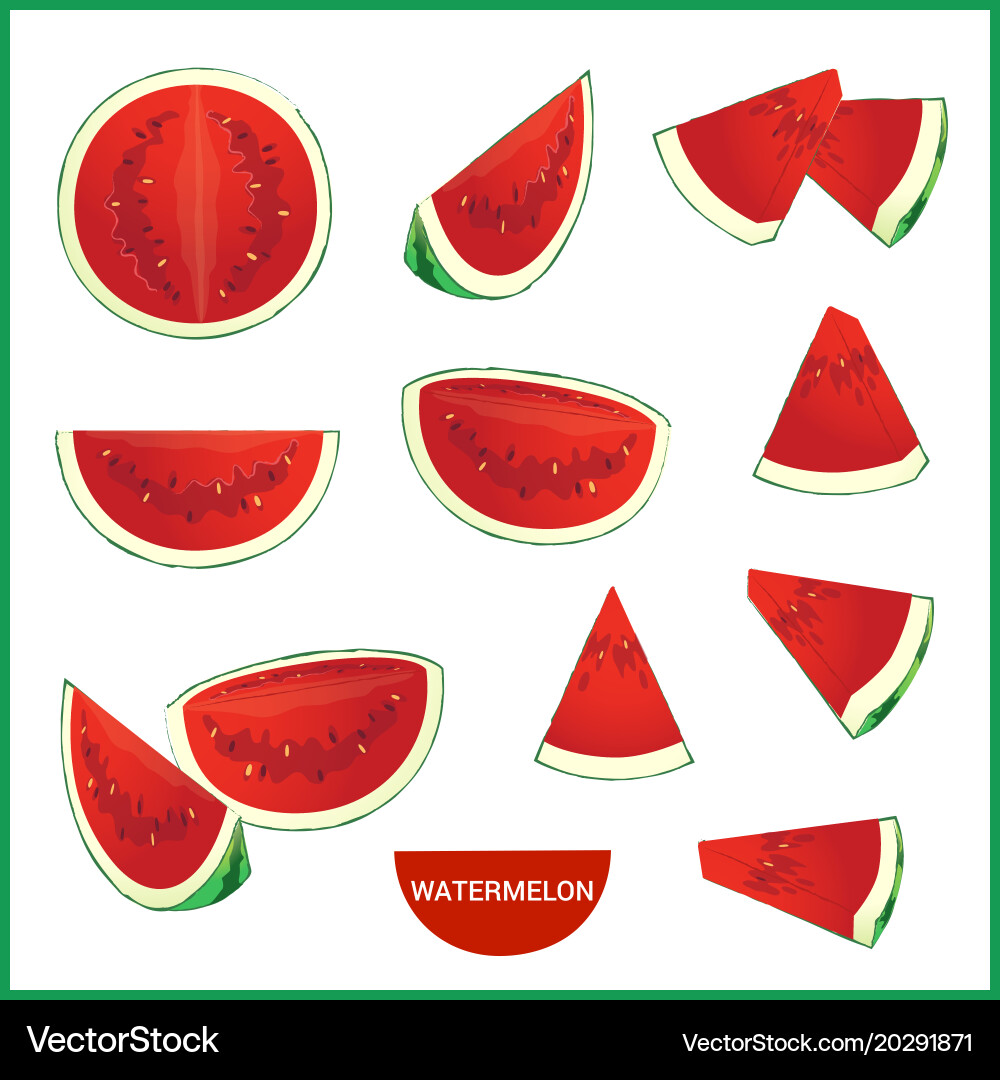 Set of fresh watermelon in various slice styles Vector Image