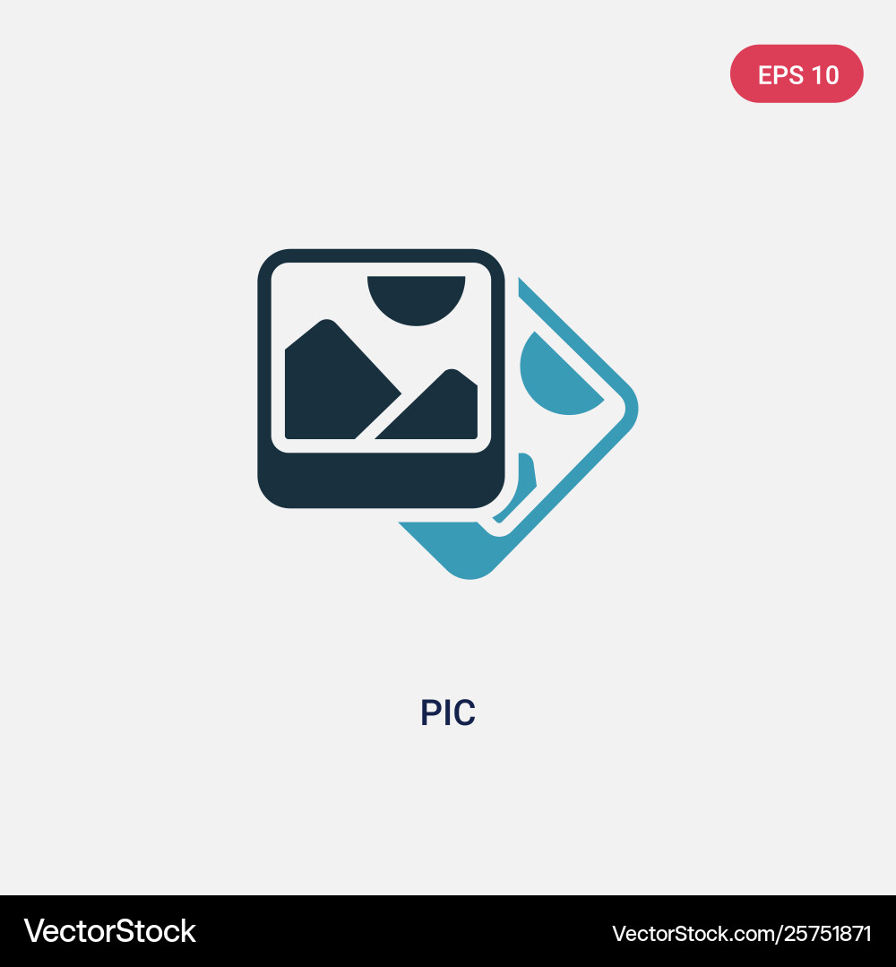 Two color pic icon from web navigation concept Vector Image