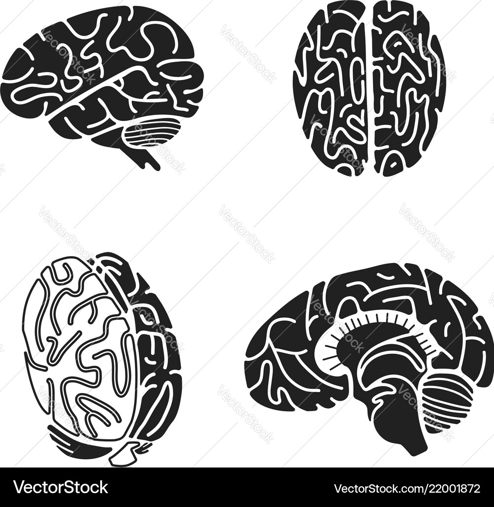Brain icon set simple style Brain icon set simple style vector image
