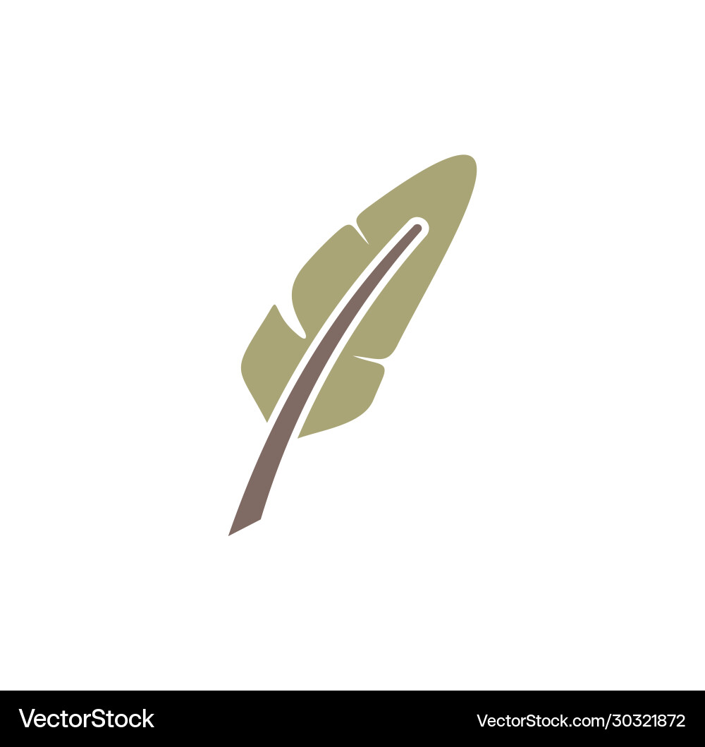 Feather icon on background for graphic and web vector image