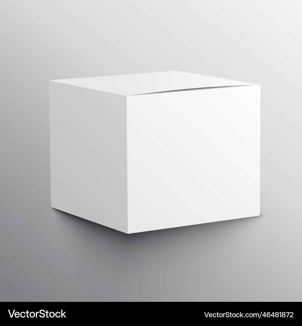 Realistic empty box mockup template design vector image