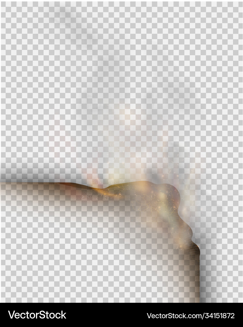 Transparent design burning templates torn paper Transparent design burning templates torn paper vector image