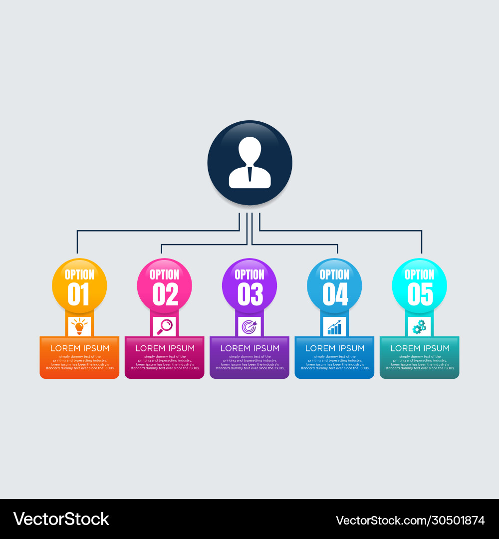 Business data visualization process chart vector image