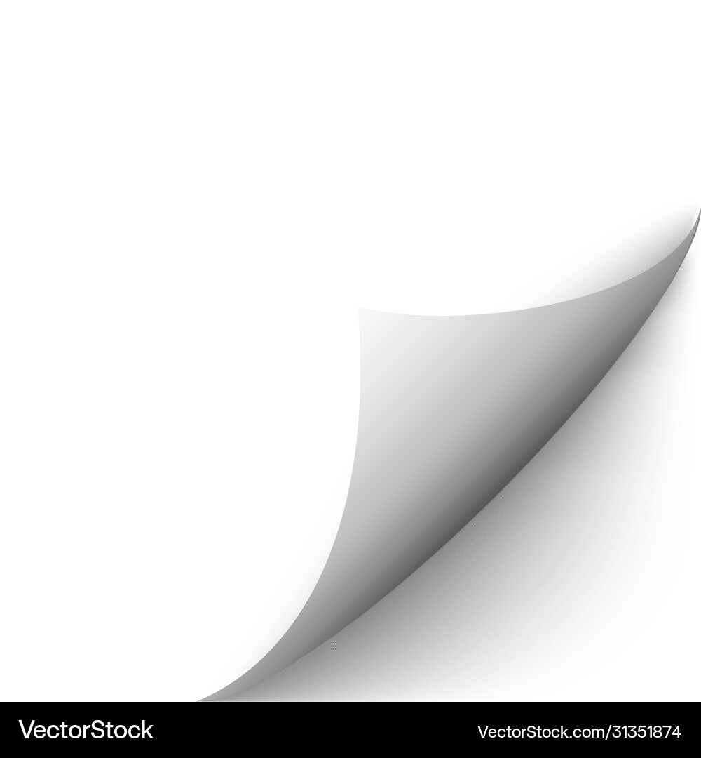 Curl page curly corner effect blank white Curl page curly corner effect blank white vector image