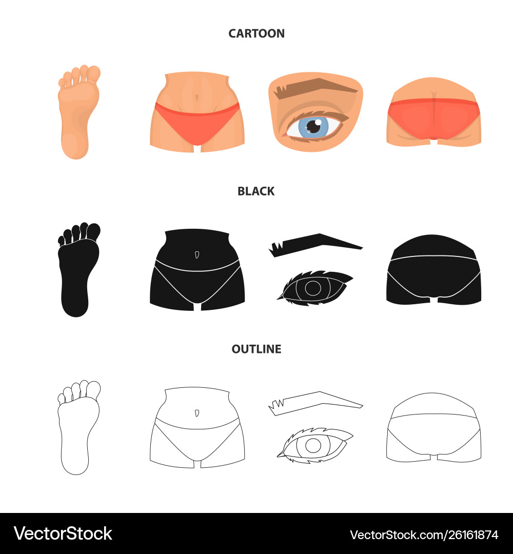 Design body and part icon set Design body and part icon set vector image