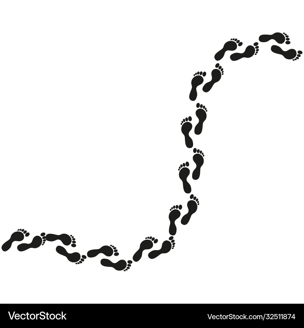 Human Footprints Path vector image