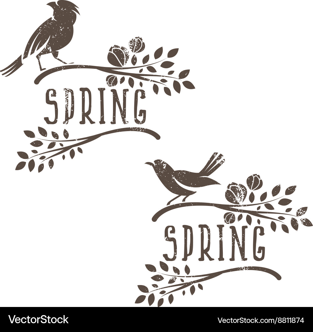 Spring Birds in Branches Vector Image