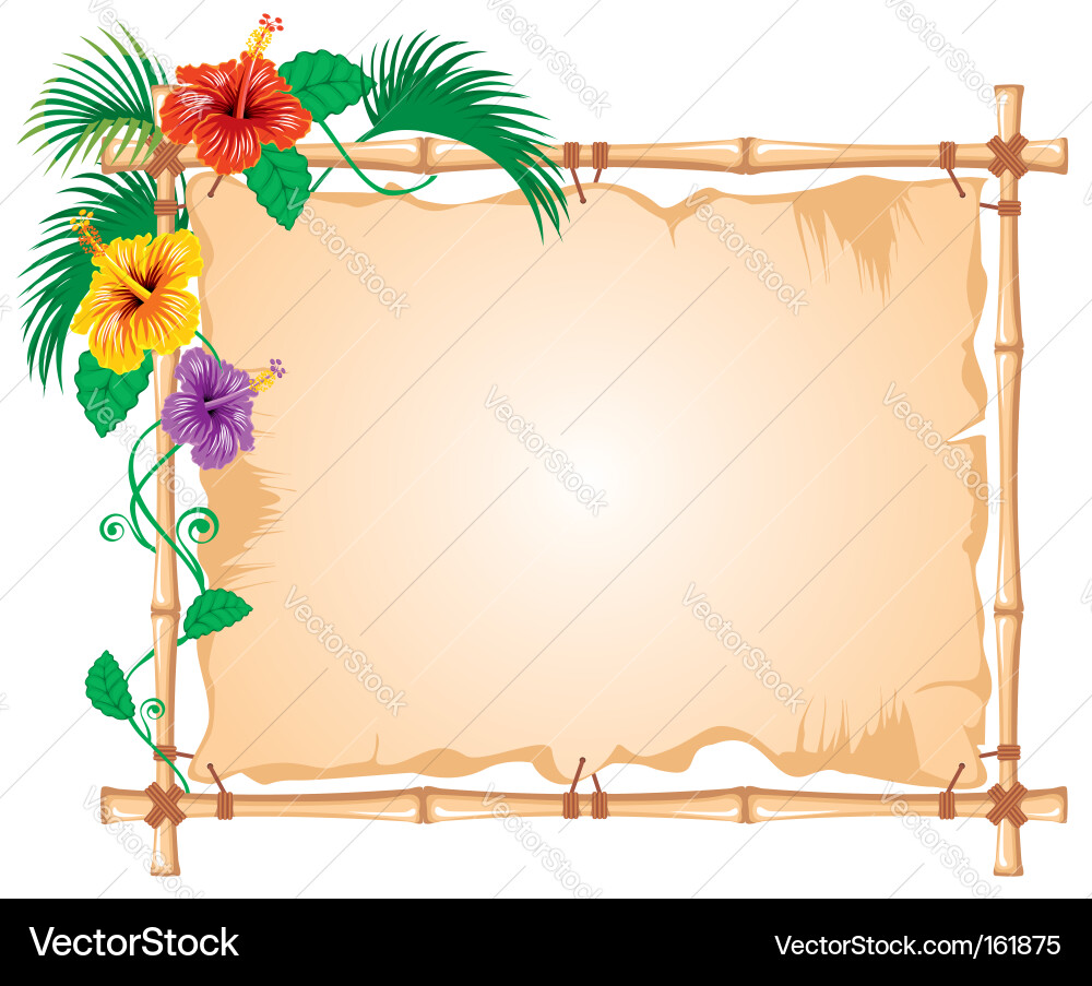 Bamboo Frame with Tropical Flowers Vector Image