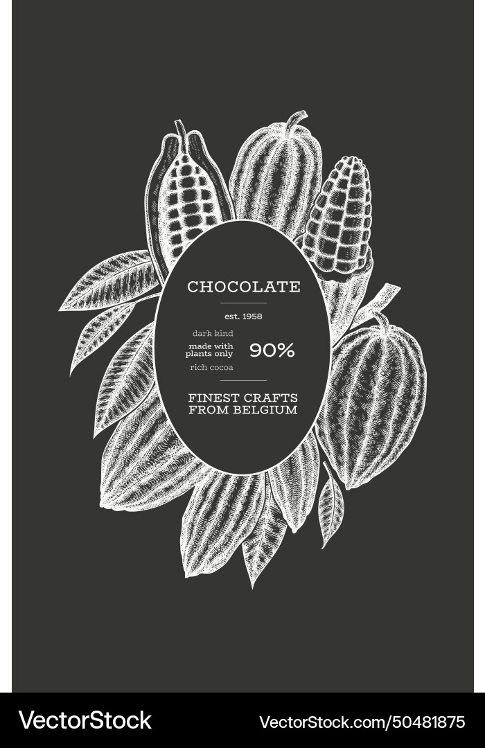 Cocoa design template chocolate beans vector image